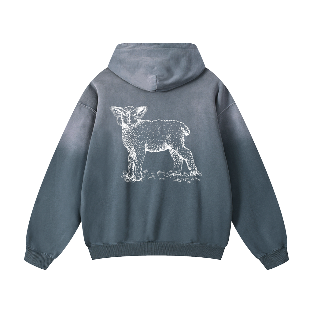 Heavyweight Sunfade Oversized Sheva Hoodie