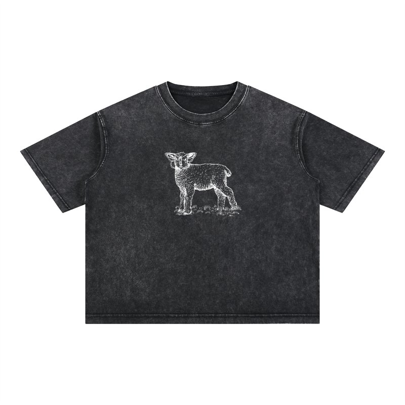 Mineral Wash Boxy Sheva Cotton Tee