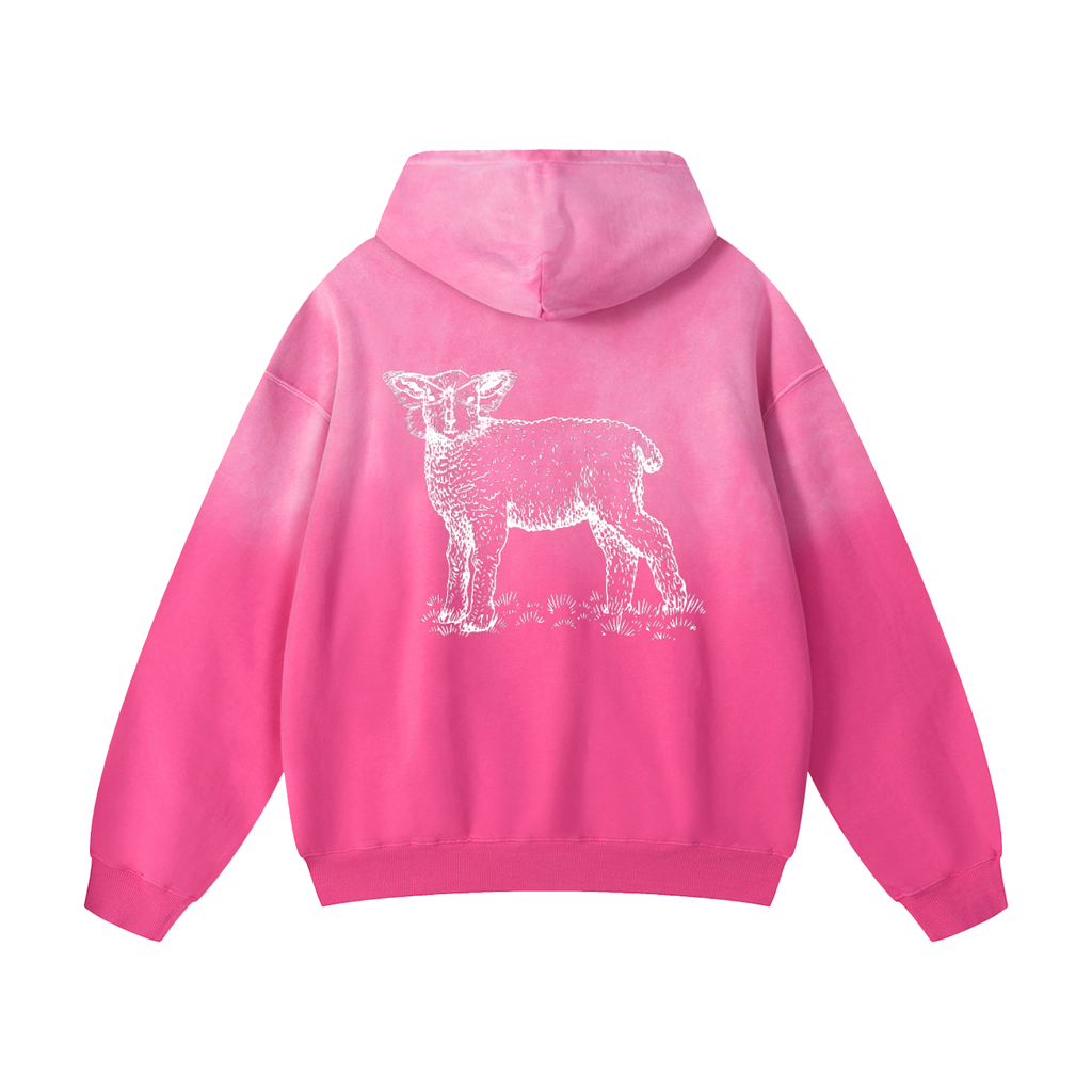Heavyweight Sunfade Oversized Sheva Hoodie