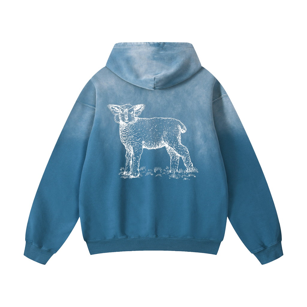 Heavyweight Sunfade Oversized Sheva Hoodie