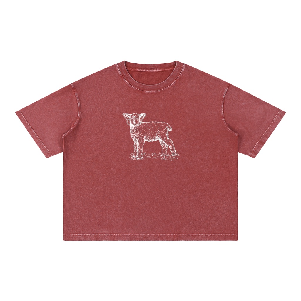 Mineral Wash Boxy Sheva Cotton Tee