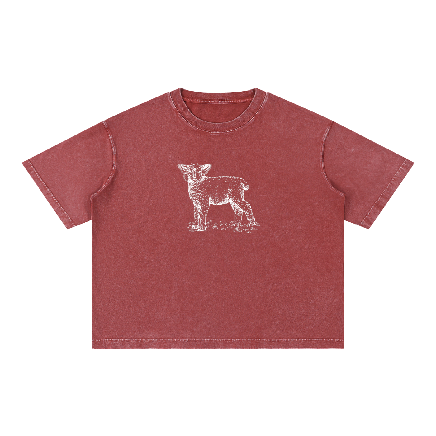 Mineral Wash Boxy Sheva Cotton Tee
