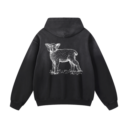Heavyweight Sunfade Oversized Sheva Hoodie